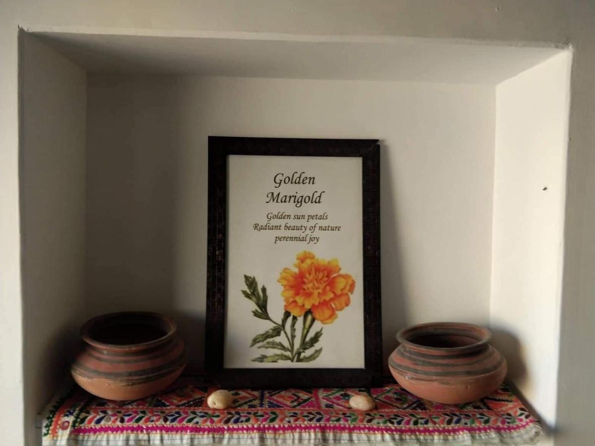Golden Marigold Hotel Jaisalmer Bagian luar foto